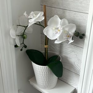 Meet your Posher, Lynette